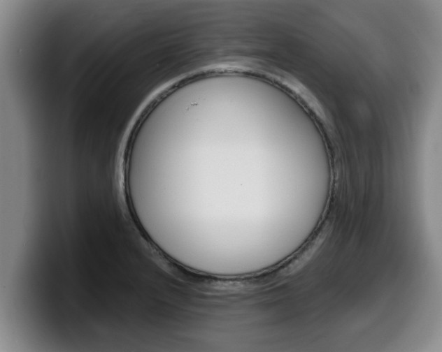 X0000100321232200806051343