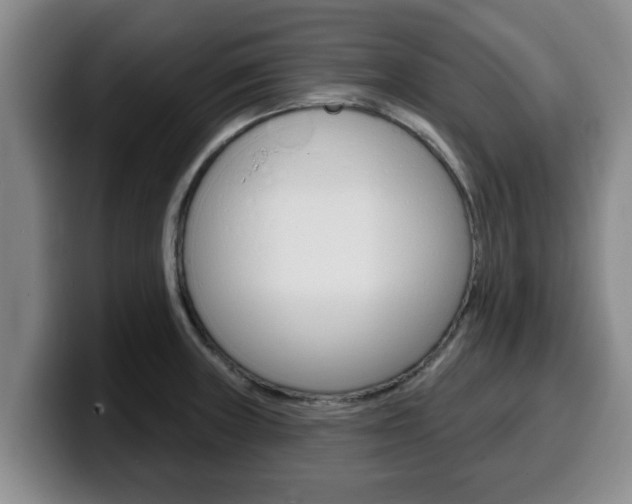 X0000100321235200806051343