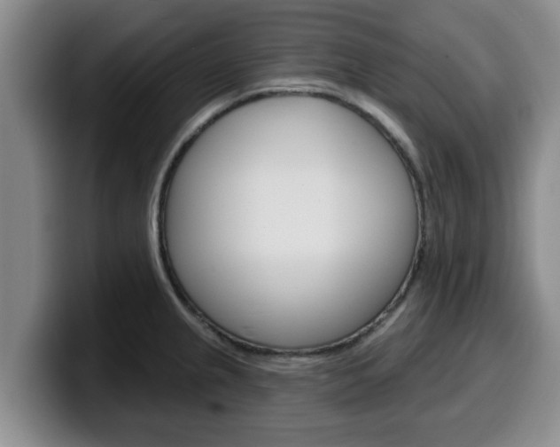 X0000100321237200806051343