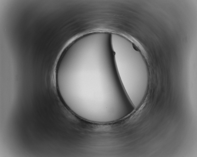 X0000100321238200806051343