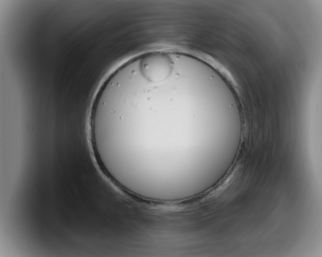 X0000100321239200806051343