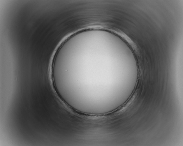 X0000100321240200806051343