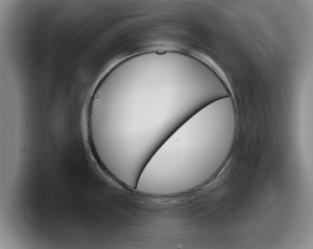 X0000100321243200806051343