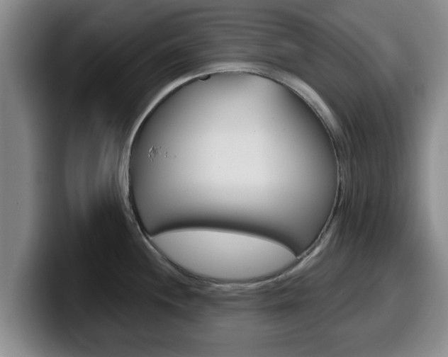 X0000100321244200806051343