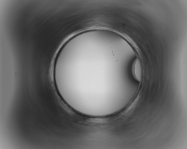 X0000100321246200806051343