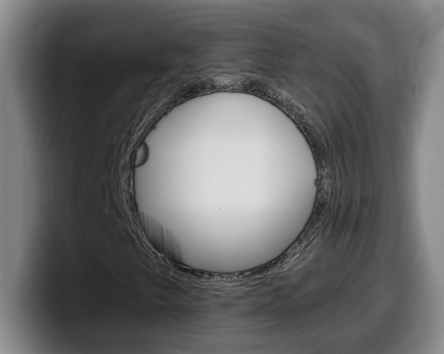 X0000100321249200806051342