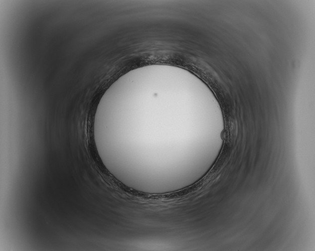 X0000100321250200806051342