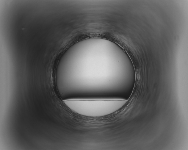 X0000100321252200806051342