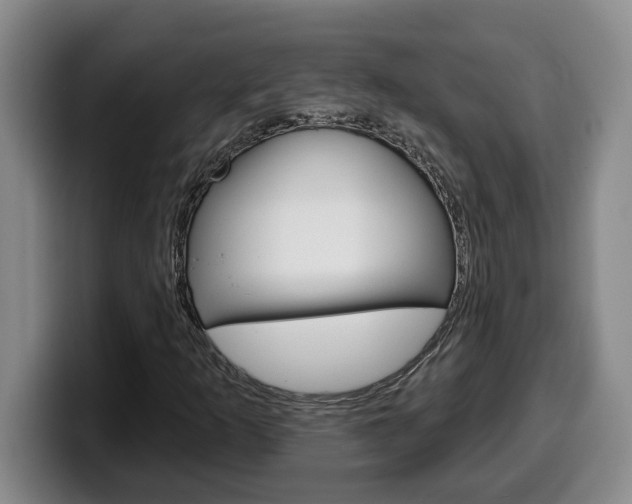 X0000100321253200806051342