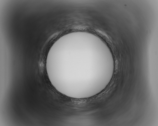 X0000100321254200806051342