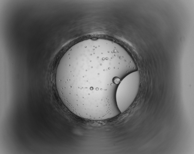 X0000100321255200806051342