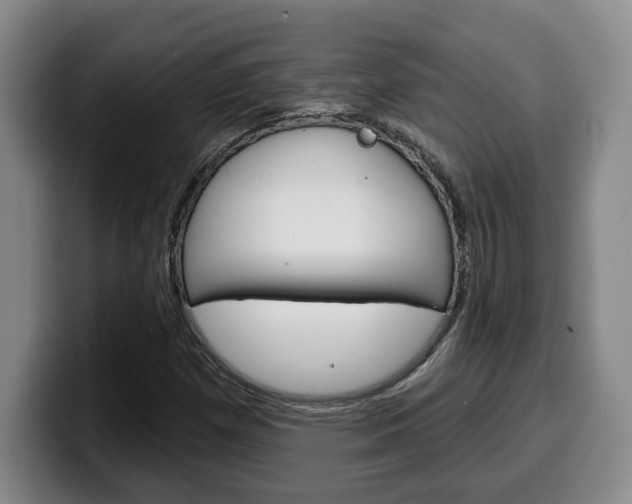 X0000100321257200806051342