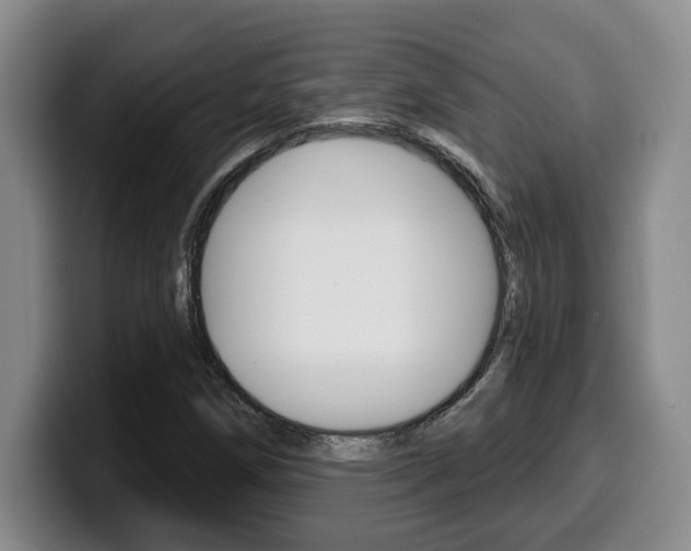 X0000100321258200806051342