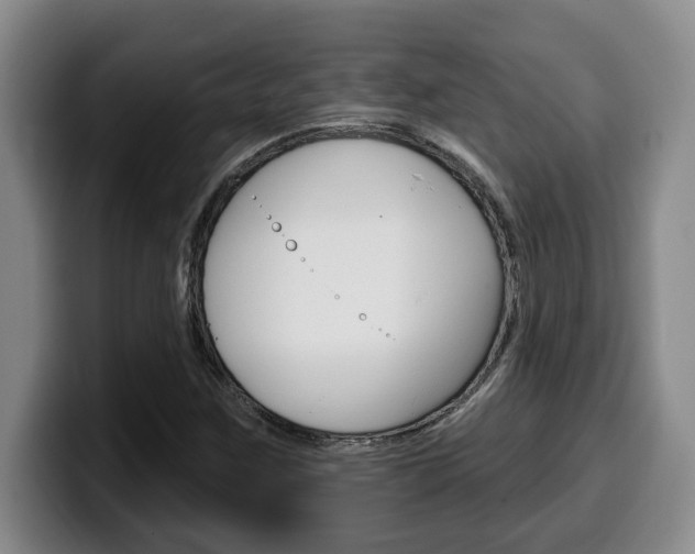 X0000100321259200806051342