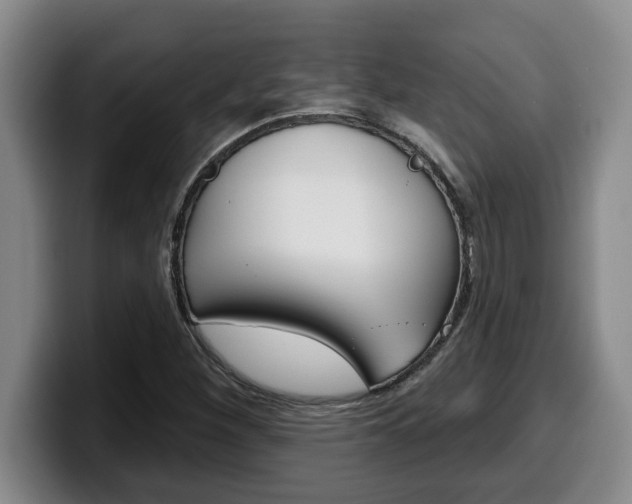 X0000100321260200806051342