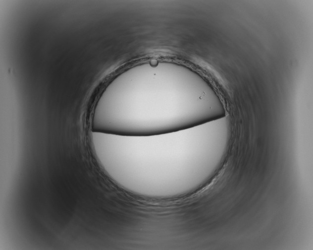 X0000100321261200806051342