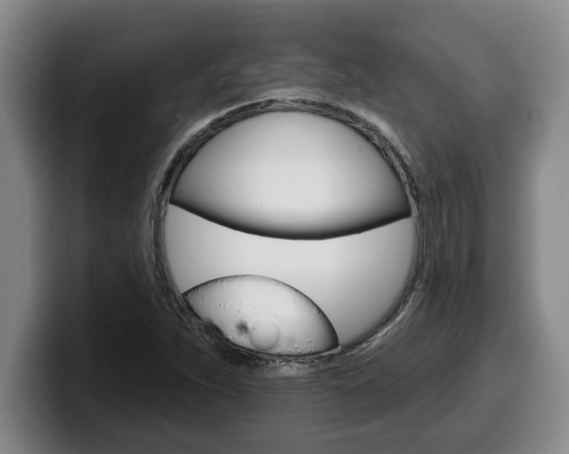 X0000100321263200806051342