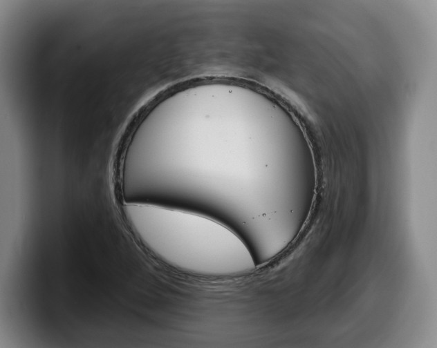 X0000100321264200806051342