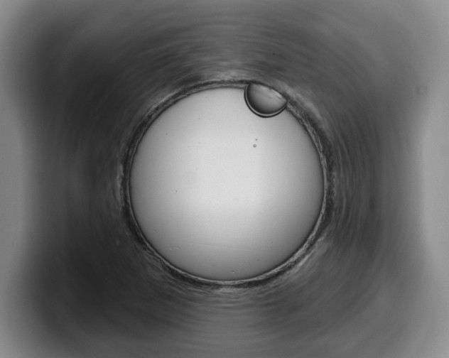 X0000100321265200806051342