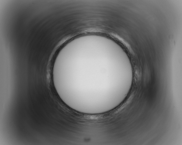 X0000100321266200806051342