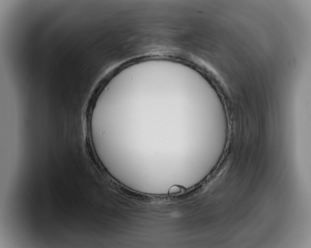 X0000100321267200806051342