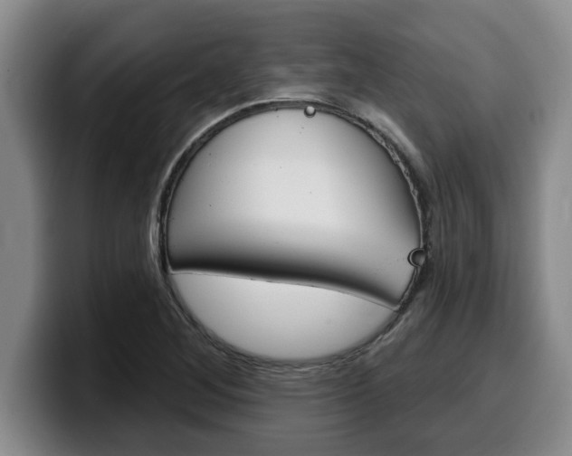 X0000100321268200806051342