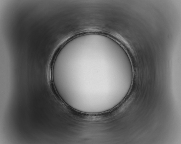 X0000100321269200806051342