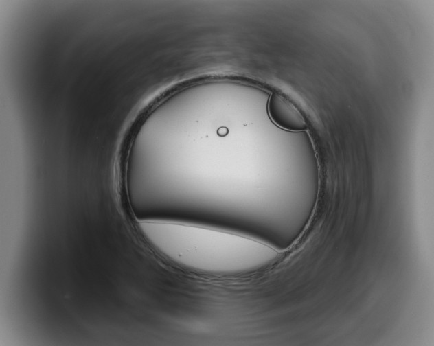 X0000100321270200806051342