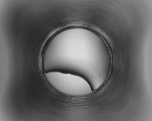 X0000100321272200806051342
