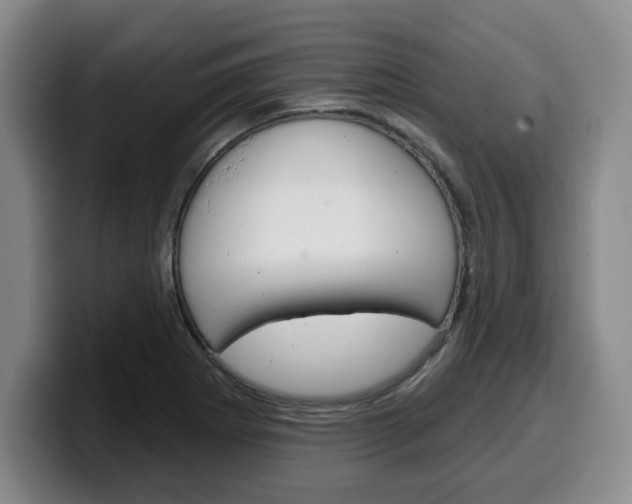 X0000100321273200806051342