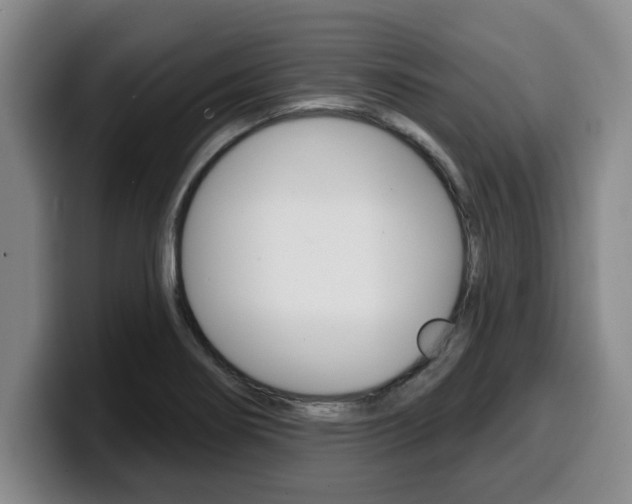 X0000100321274200806051342