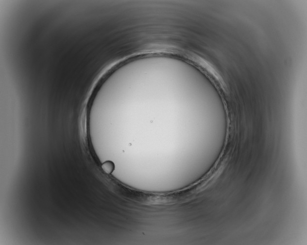 X0000100321275200806051342