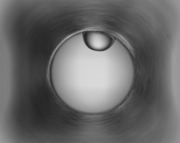 X0000100321276200806051342