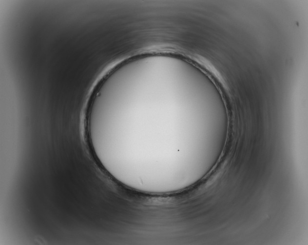 X0000100321277200806051342