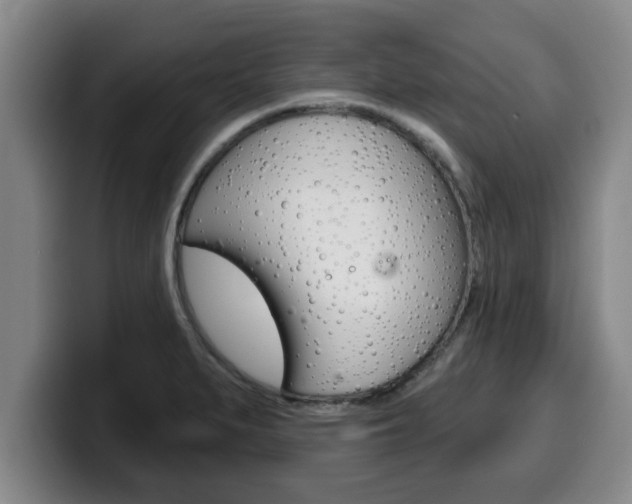 X0000100321279200806051342