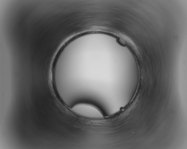 X0000100321280200806051342