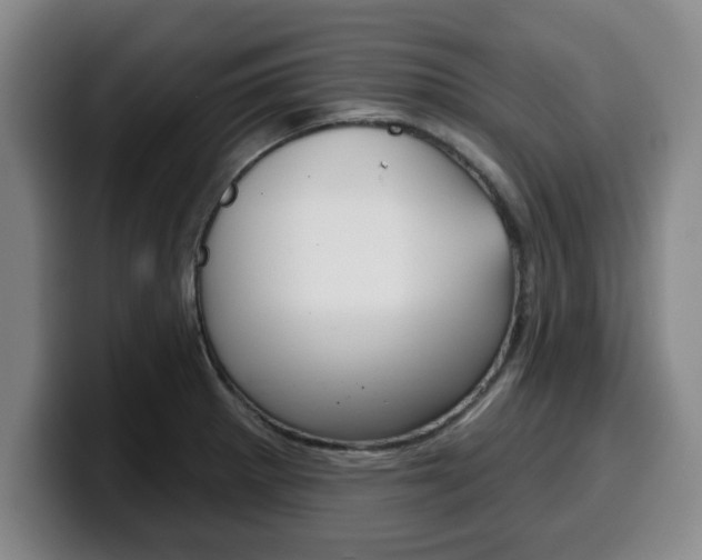 X0000100321281200806051342