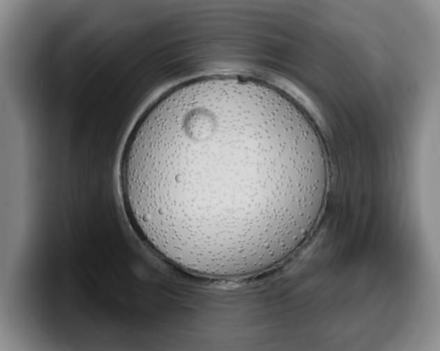X0000100321283200806051342