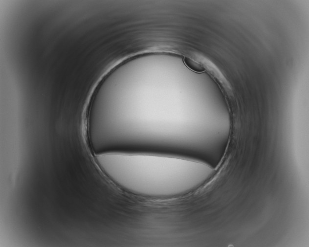 X0000100321284200806051342