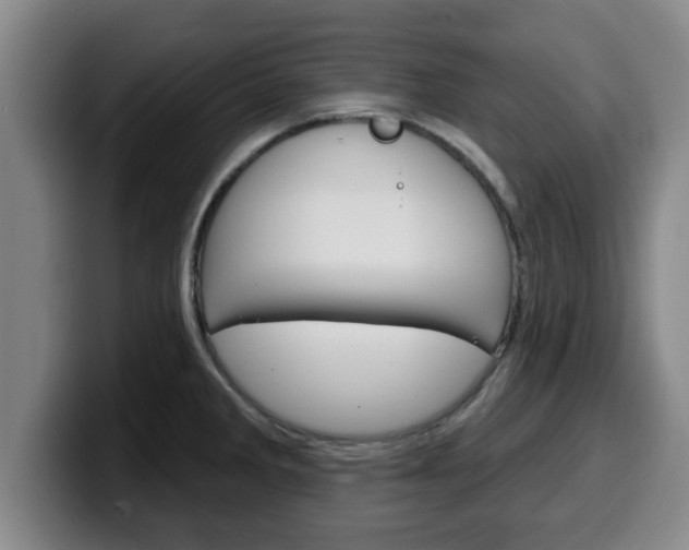 X0000100321285200806051342