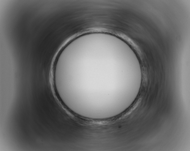 X0000100321286200806051342