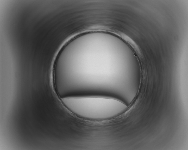 X0000100321288200806051342