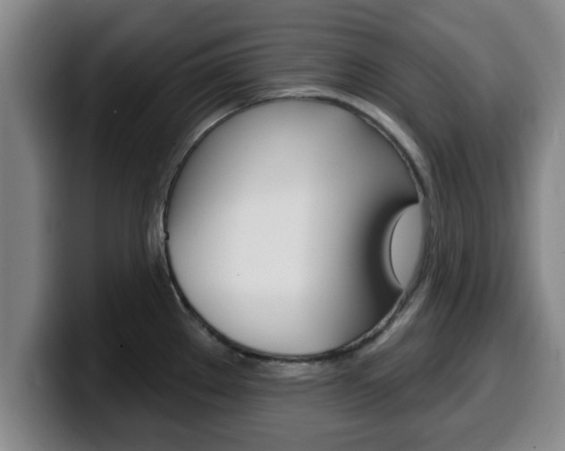 X0000100321289200806051342