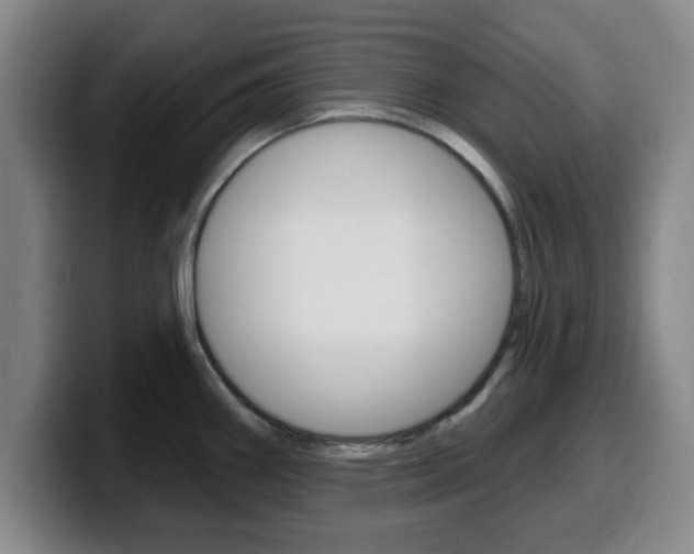 X0000100321290200806051342