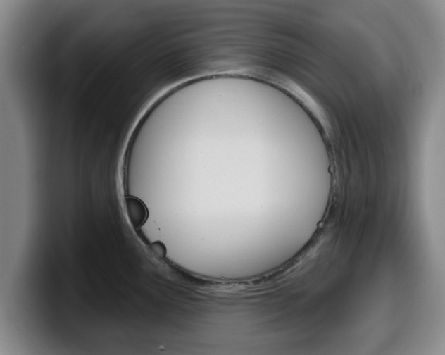 X0000100321291200806051342