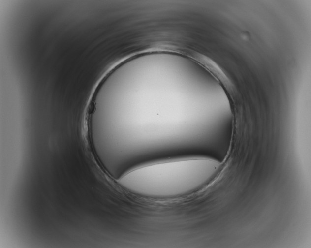X0000100321292200806051342