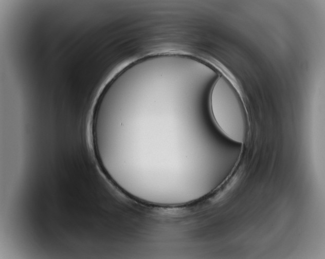 X0000100321293200806051342