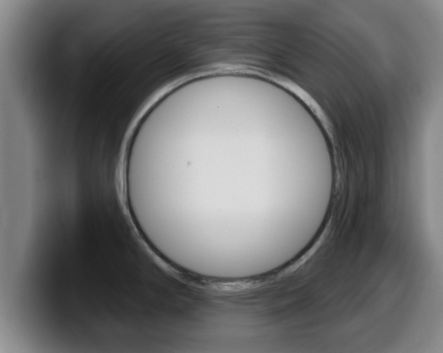 X0000100321294200806051342