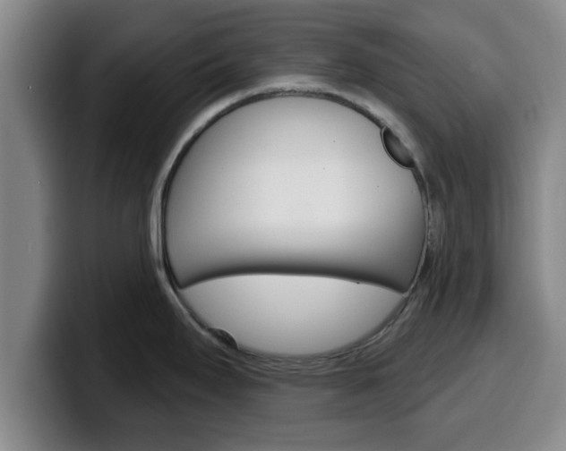 X0000100321295200806051342