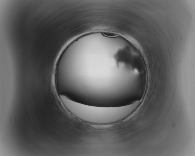 X0000100321296200806051342